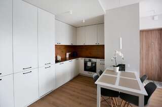 Апартаменты Klaipeda Old Town Apartment Easy Stay 2 Клайпеда Апартаменты с 1 спальней-3